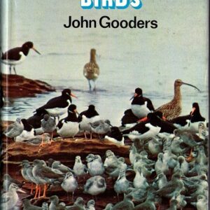 Where to Watch Birds